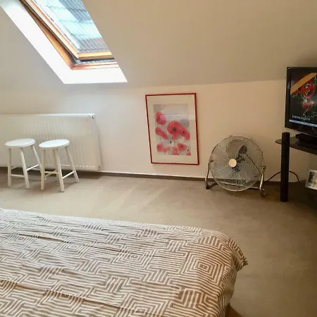 Dachgeschosswohnung Apartment